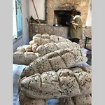 Ktima Sfakia * Kéfalos