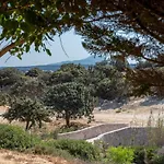Ktima Sfakia * Kéfalos