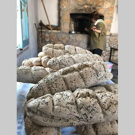 Ktima Sfakia * Kefalos (Kos)