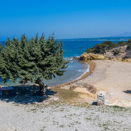 Ktima Sfakia *