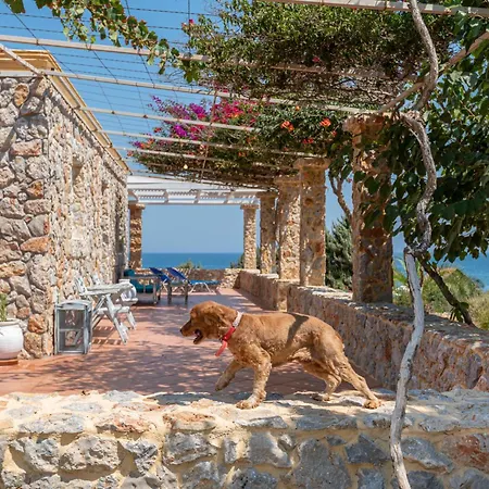 Ktima Sfakia Βίλα Κέφαλος