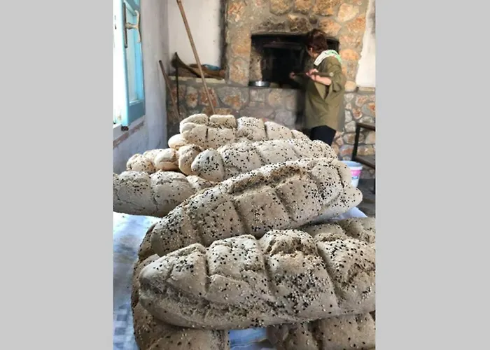 Ktima Sfakia * Kéfalos