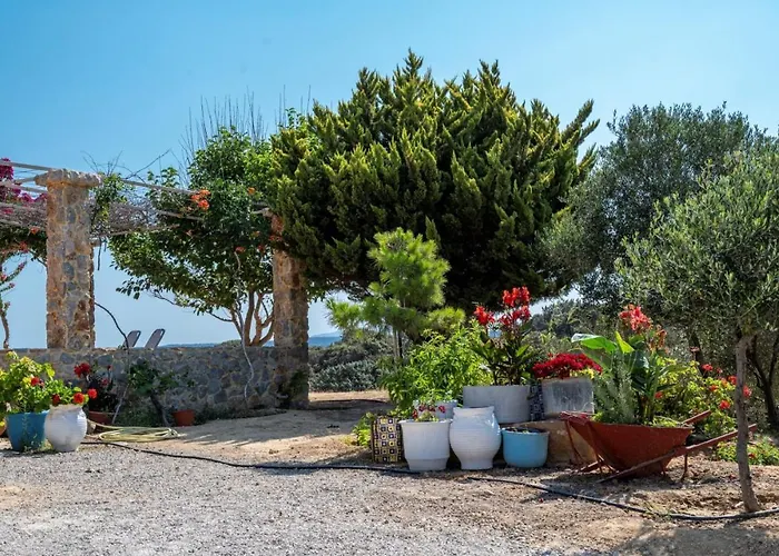 Ktima Sfakia * Kéfalos