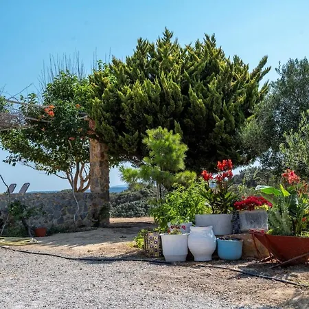 Ktima Sfakia * Kéfalos